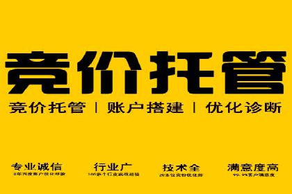 某sem公司广告投放实战案例